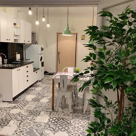 公寓 Deminik House *